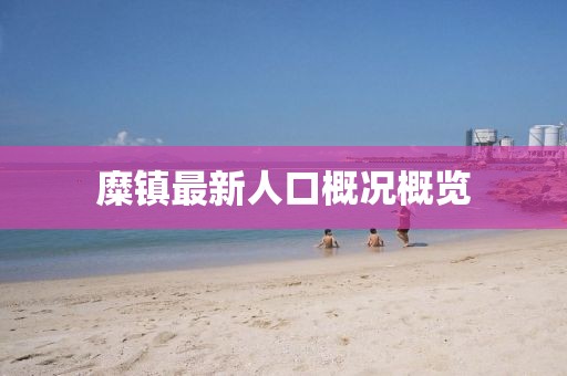 糜鎮(zhèn)最新人口概況概覽