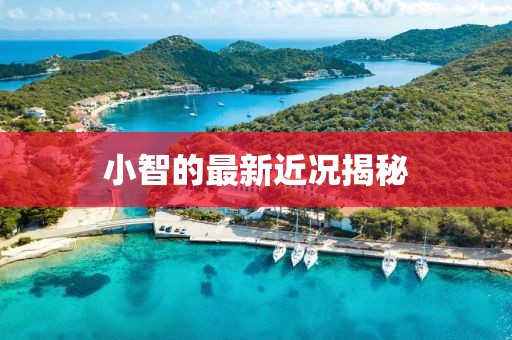 小智的最新近況揭秘
