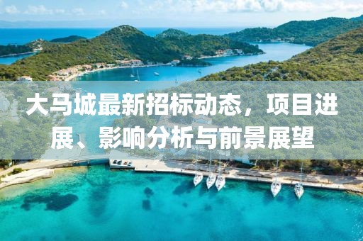 大馬城最新招標(biāo)動(dòng)態(tài)，項(xiàng)目進(jìn)展、影響分析與前景展望