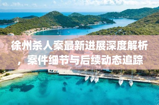 徐州殺人案最新進(jìn)展深度解析，案件細(xì)節(jié)與后續(xù)動(dòng)態(tài)追蹤
