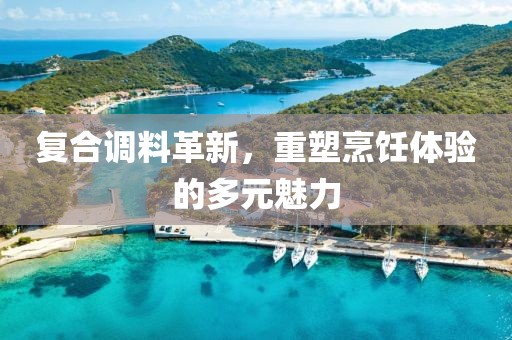 復(fù)合調(diào)料革新，重塑烹飪體驗(yàn)的多元魅力