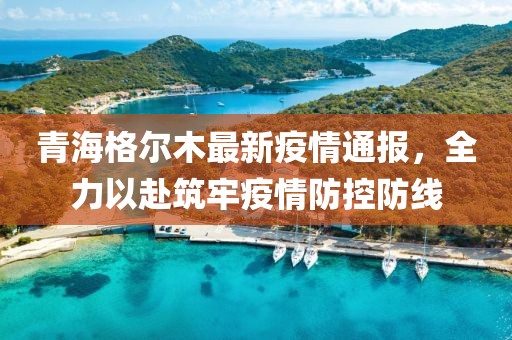 青海格爾木最新疫情通報，全力以赴筑牢疫情防控防線