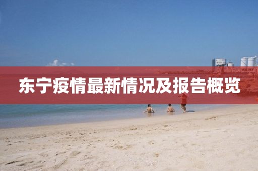 東寧疫情最新情況及報告概覽