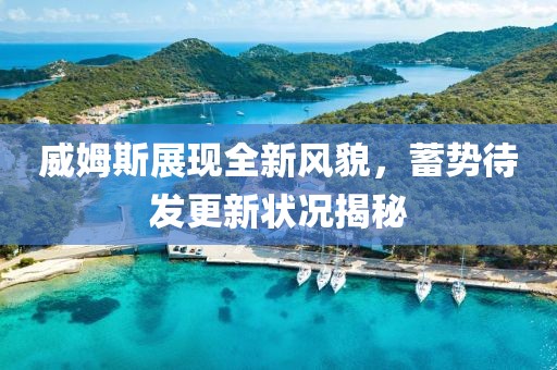 威姆斯展現全新風貌，蓄勢待發(fā)更新狀況揭秘