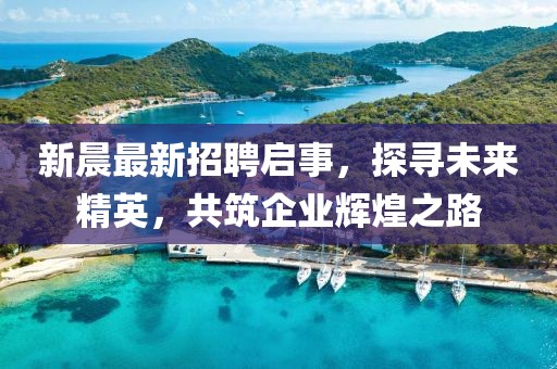 新晨最新招聘啟事，探尋未來精英，共筑企業(yè)輝煌之路