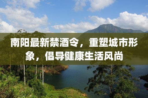南陽最新禁酒令，重塑城市形象，倡導(dǎo)健康生活風(fēng)尚