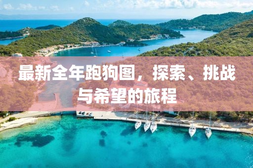 海心 第12頁