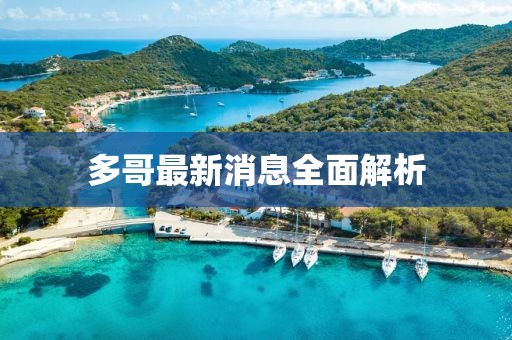 多哥最新消息全面解析