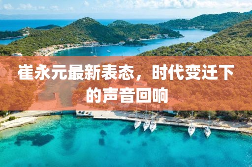 崔永元最新表態(tài)，時(shí)代變遷下的聲音回響