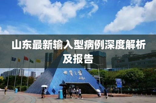 山東最新輸入型病例深度解析及報告
