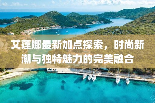 艾蓮娜最新加點(diǎn)探索，時(shí)尚新潮與獨(dú)特魅力的完美融合