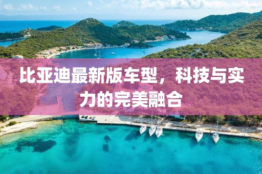 比亞迪最新版車型，科技與實(shí)力的完美融合