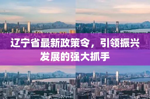 遼寧省最新政策令，引領(lǐng)振興發(fā)展的強(qiáng)大抓手