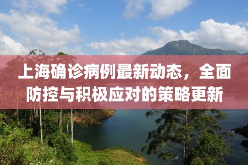 上海確診病例最新動態(tài)，全面防控與積極應對的策略更新