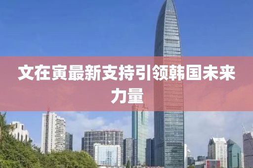 文在寅最新支持引領(lǐng)韓國(guó)未來(lái)力量