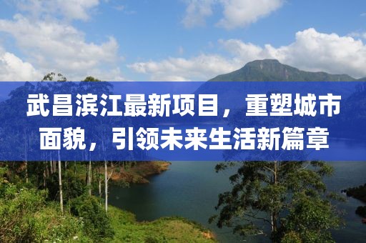 武昌濱江最新項(xiàng)目，重塑城市面貌，引領(lǐng)未來(lái)生活新篇章