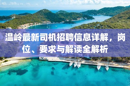 溫嶺最新司機(jī)招聘信息詳解，崗位、要求與解讀全解析