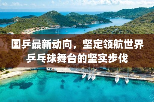 國(guó)乒最新動(dòng)向，堅(jiān)定領(lǐng)航世界乒乓球舞臺(tái)的堅(jiān)實(shí)步伐