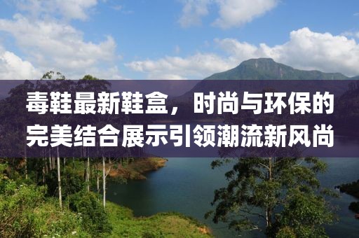 毒鞋最新鞋盒，時尚與環(huán)保的完美結(jié)合展示引領(lǐng)潮流新風(fēng)尚