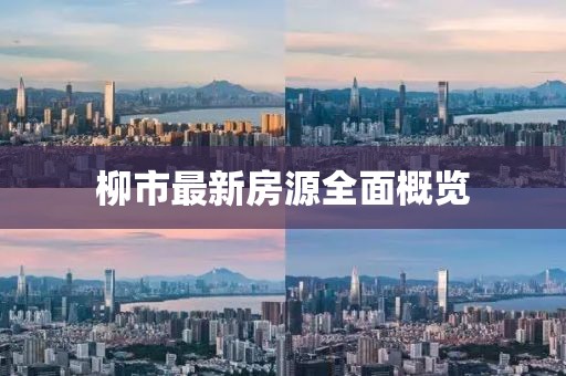 柳市最新房源全面概覽