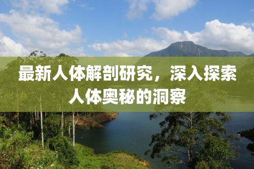 最新人體解剖研究，深入探索人體奧秘的洞察