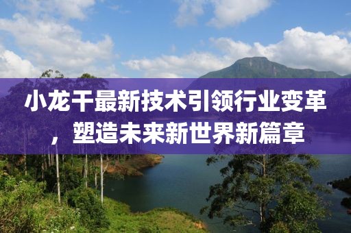 小龍干最新技術(shù)引領(lǐng)行業(yè)變革，塑造未來(lái)新世界新篇章