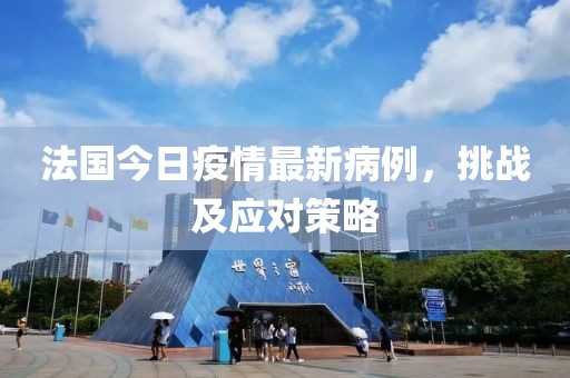 法國今日疫情最新病例，挑戰(zhàn)及應(yīng)對策略