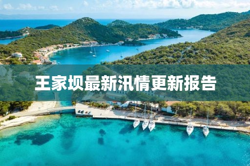 王家壩最新汛情更新報告