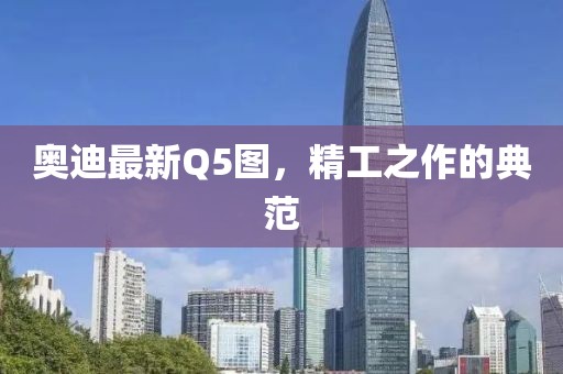 奧迪最新Q5圖，精工之作的典范