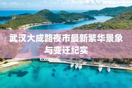 武漢大成路夜市最新繁華景象與變遷紀(jì)實
