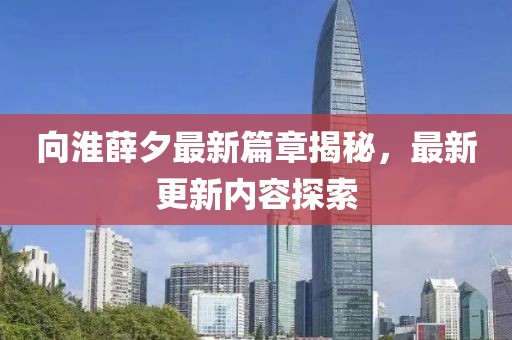 向淮薛夕最新篇章揭秘，最新更新內(nèi)容探索