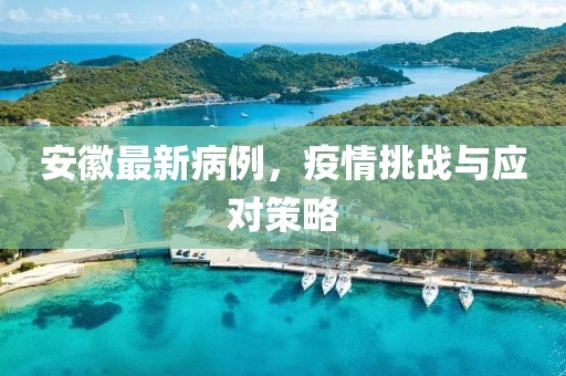 安徽最新病例，疫情挑戰(zhàn)與應對策略