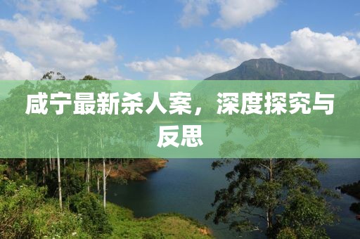 咸寧最新殺人案，深度探究與反思