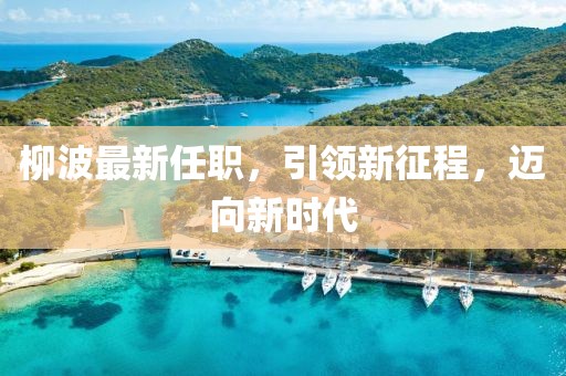 柳波最新任職，引領新征程，邁向新時代