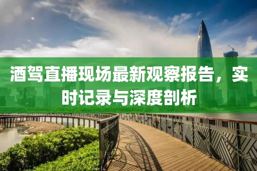 酒駕直播現(xiàn)場最新觀察報告，實時記錄與深度剖析