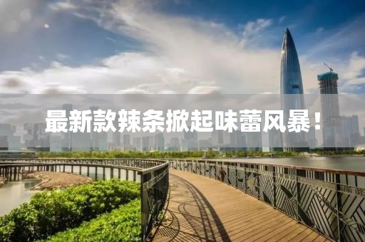 最新款辣條掀起味蕾風(fēng)暴！