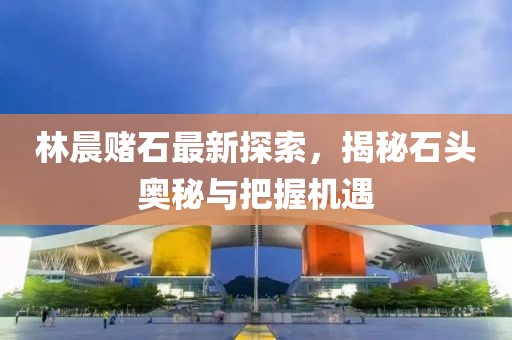 林晨賭石最新探索，揭秘石頭奧秘與把握機(jī)遇