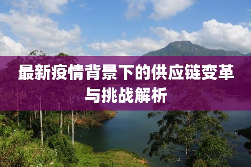最新疫情背景下的供應(yīng)鏈變革與挑戰(zhàn)解析