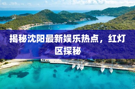 揭秘沈陽最新娛樂熱點，紅燈區(qū)探秘