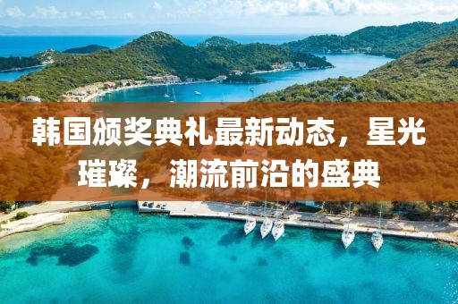 韓國(guó)頒獎(jiǎng)典禮最新動(dòng)態(tài)，星光璀璨，潮流前沿的盛典