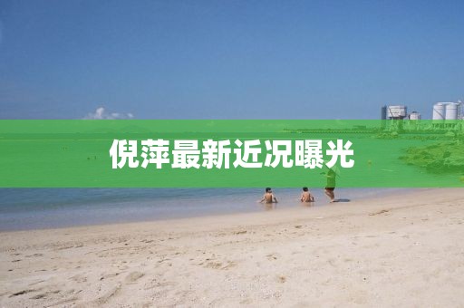 倪萍最新近況曝光