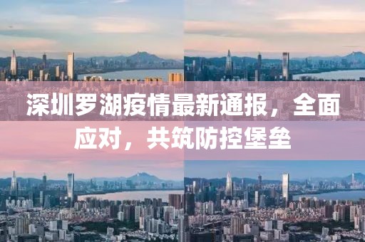 深圳羅湖疫情最新通報(bào)，全面應(yīng)對，共筑防控堡壘