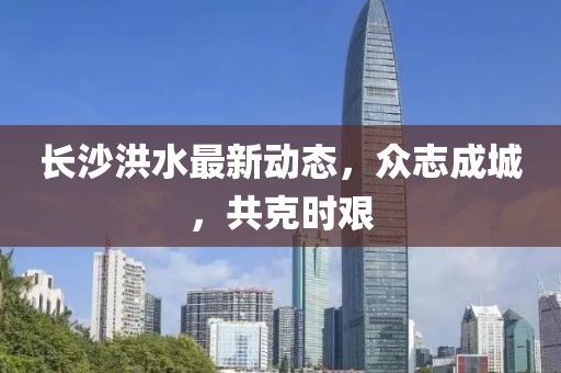 長沙洪水最新動態(tài)，眾志成城，共克時艱