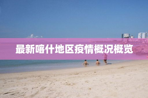 最新喀什地區(qū)疫情概況概覽