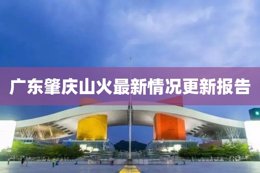廣東肇慶山火最新情況更新報告