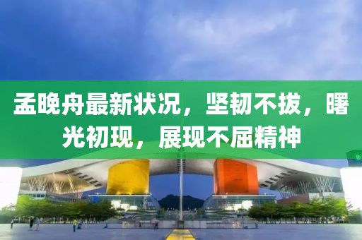 孟晚舟最新狀況，堅韌不拔，曙光初現(xiàn)，展現(xiàn)不屈精神