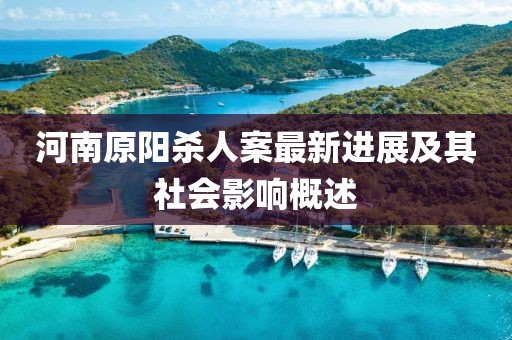河南原陽殺人案最新進展及其社會影響概述