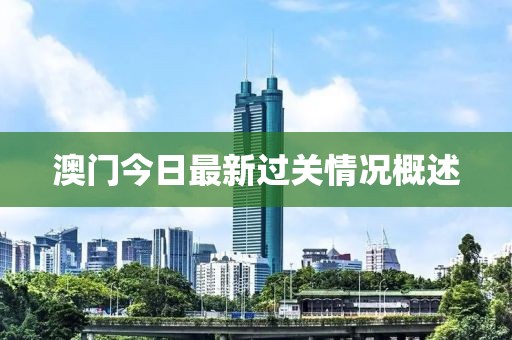 澳門今日最新過關情況概述