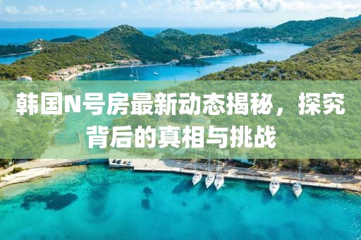 韓國(guó)N號(hào)房最新動(dòng)態(tài)揭秘，探究背后的真相與挑戰(zhàn)