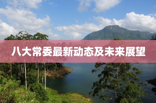 八大常委最新動態(tài)及未來展望